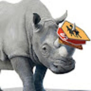 Meet your Posher, Raj